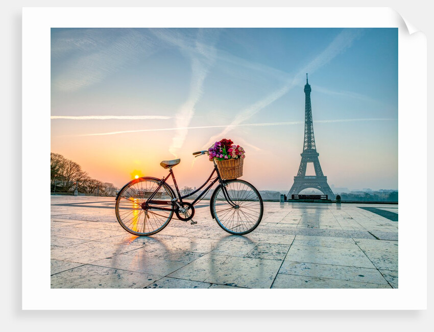 Bicycle and Eiffel tower by Assaf Frank